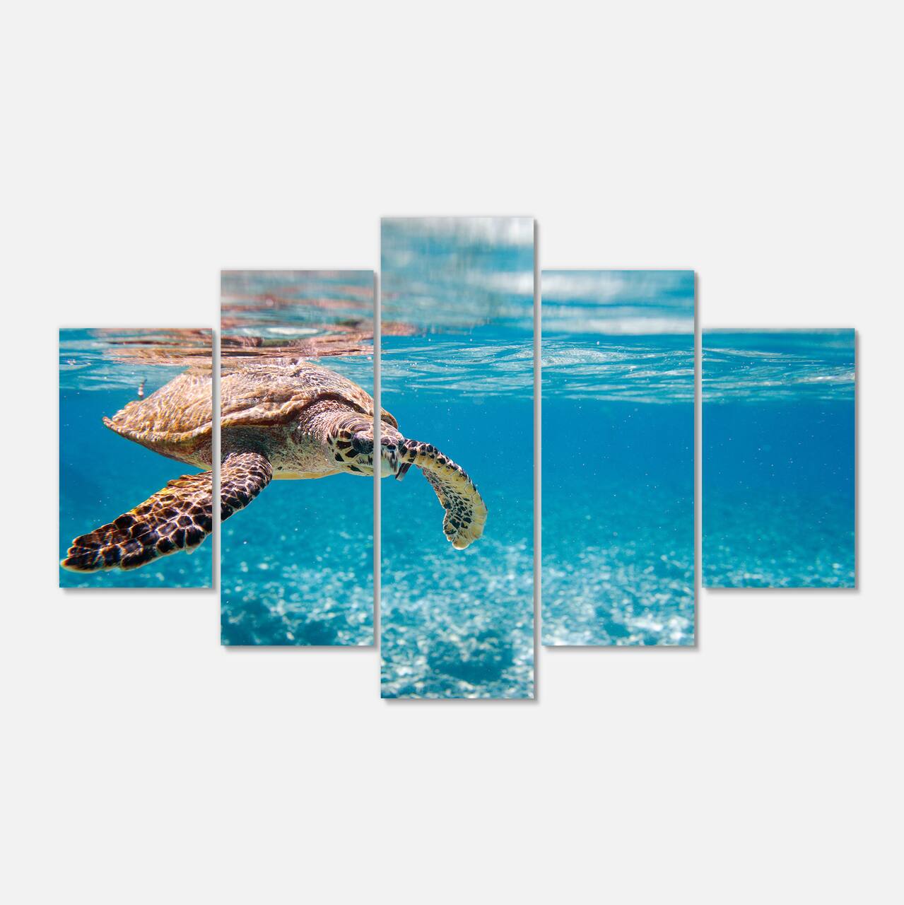 Designart - Large Hawksbill Sea Turtle - Abstract Canvas Art Print